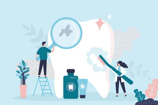 Cabin John, MD Holistic Dental Care Services Company